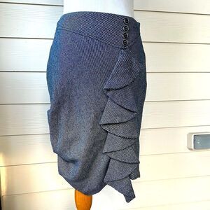 Eva Franca French Designer Wool Pinstripe Skirt